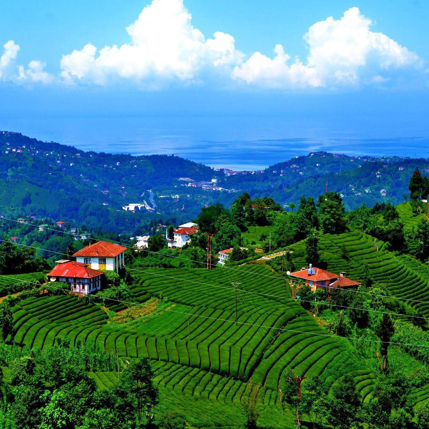 Kayseri Çıkışlı Doğu Karadeniz Turu 3 gece 4 gün